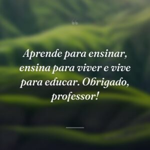 Aprende para ensinar, ensina para viver e vive para educar. Obrigado, professor!