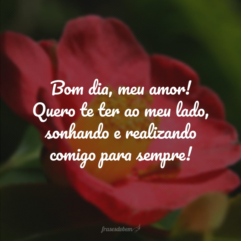 Bom dia, meu amor! Quero te ter ao meu lado, sonhando e realizando comigo para sempre!