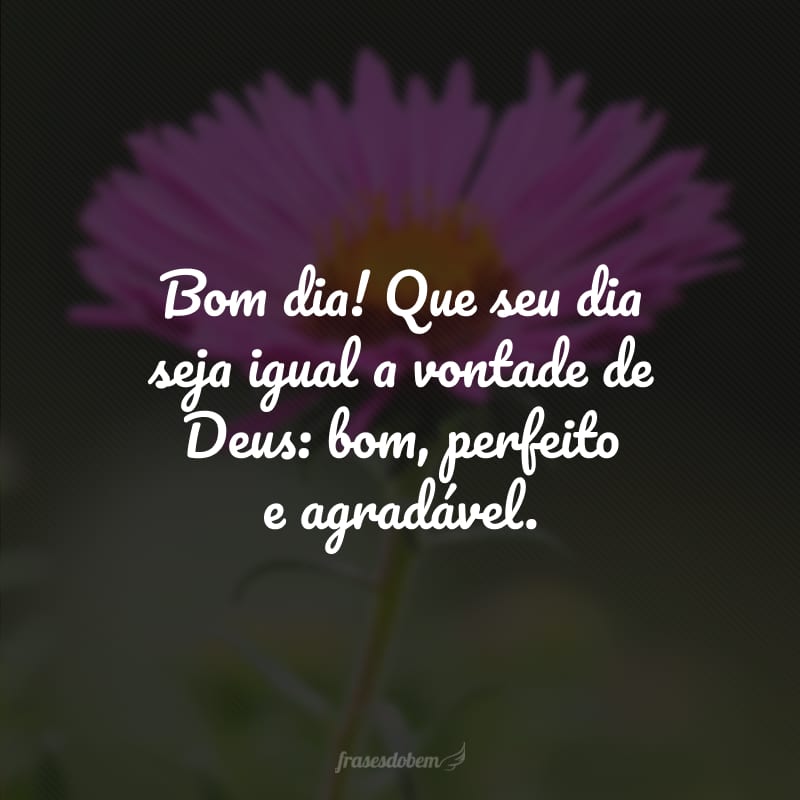 Bom dia! Que seu dia seja igual a vontade de Deus: bom, perfeito e agradável.