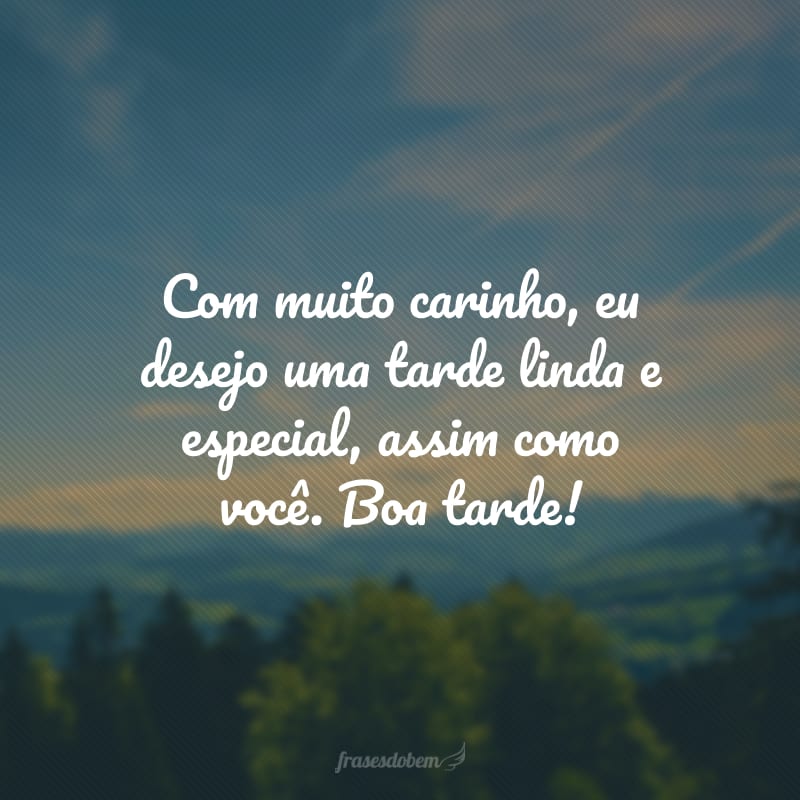 Com muito carinho, eu desejo uma tarde linda e especial, assim como você. Boa tarde!