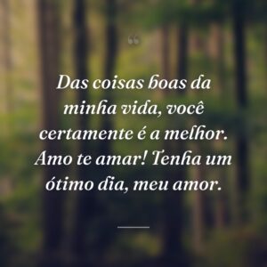 Das coisas boas da minha vida, você certamente é a melhor. Amo te amar! Tenha um ótimo dia, meu amor.