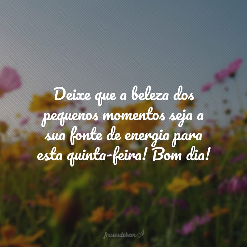 Deixe que a beleza dos pequenos momentos seja a sua fonte de energia para esta quinta-feira! Bom dia!