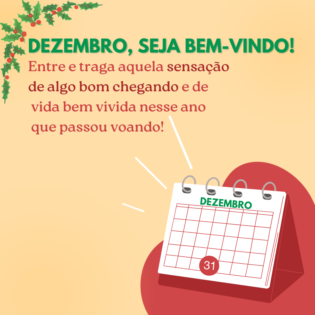 Dezembro, seja bem-vindo! Entre e traga aquela sensação de algo bom chegando e de vida bem vivida nesse ano que passou voando!