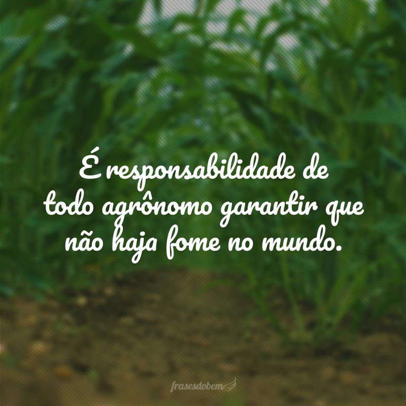 É responsabilidade de todo agrônomo garantir que não haja fome no mundo.