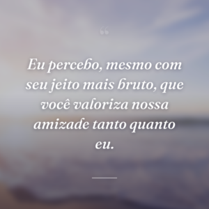 Eu percebo, mesmo com seu jeito mais bruto, que você valoriza nossa amizade tanto quanto eu.