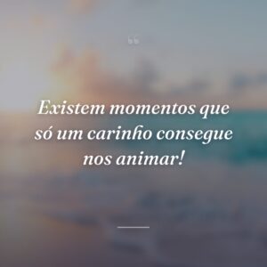 Existem momentos que só um carinho consegue nos animar!