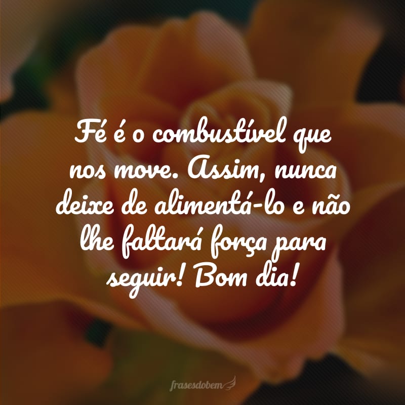 Fé é o combustível que nos move. Assim, nunca deixe de alimentá-lo e não lhe faltará força para seguir! Bom dia!