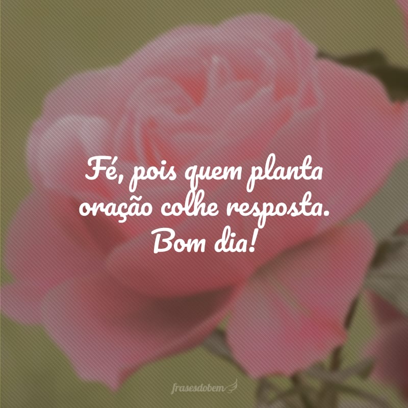 Fé, pois quem planta oração colhe resposta. Bom dia!