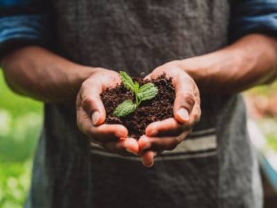 40 frases de agronomia que mostram a importância dessa profissão