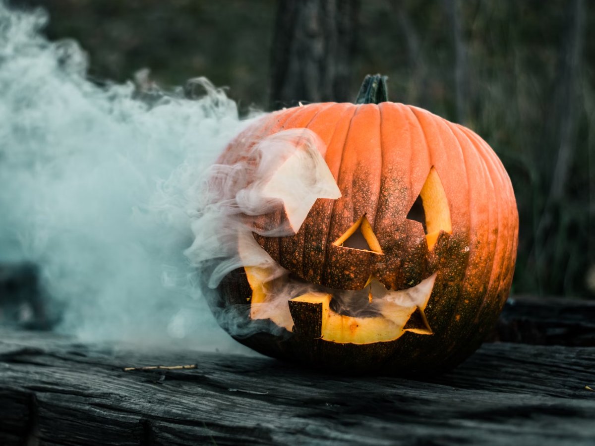 35 frases de Halloween para celebrar o Dia das Bruxas em grande estilo