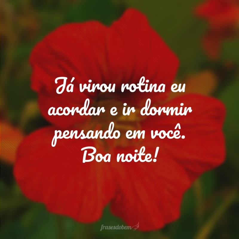 Já virou rotina eu acordar e ir dormir pensando em você. Boa noite!