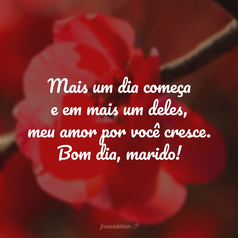 Mais um dia começa e em mais um deles, meu amor por você cresce. Bom dia, marido!