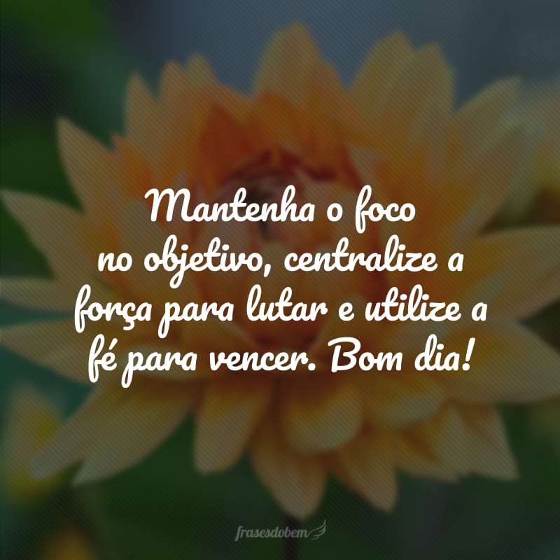 Mantenha o foco no objetivo, centralize a força para lutar e utilize a fé para vencer. Bom dia!