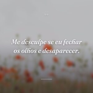 Me desculpe se eu fechar os olhos e desaparecer.