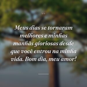 Meus dias se tornaram melhores e minhas manhãs gloriosas desde que você entrou na minha vida. Bom dia, meu amor!