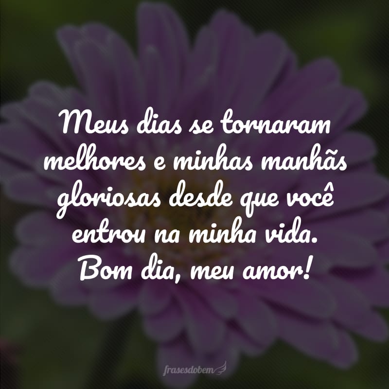 Meus dias se tornaram melhores e minhas manhãs gloriosas desde que você entrou na minha vida. Bom dia, meu amor!