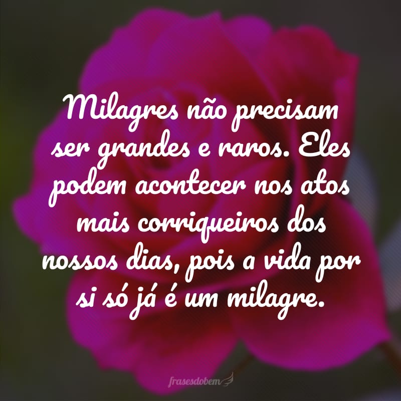 Milagres não precisam ser grandes e raros. Eles podem acontecer nos atos mais corriqueiros dos nossos dias, pois a vida por si só já é um milagre.