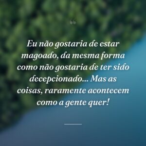 Eu não gostaria de estar magoado, da mesma forma como não gostaria de ter sido decepcionado... Mas as coisas, raramente acontecem como a gente quer!
