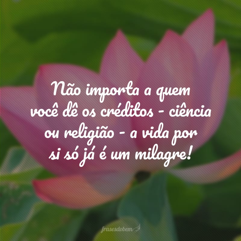 Não importa a quem você dê os créditos - ciência ou religião - a vida por si só já é um milagre!