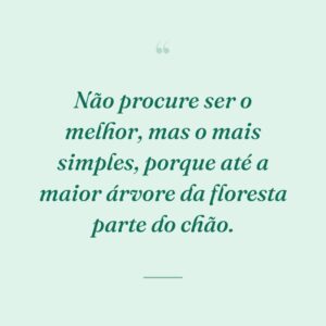 Não procure ser o melhor, mas o mais simples, porque até a maior árvore da floresta parte do chão.