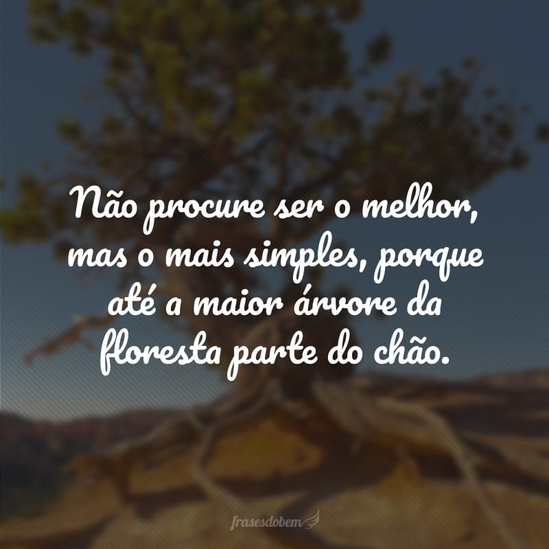 Não procure ser o melhor, mas o mais simples, porque até a maior árvore da floresta parte do chão.