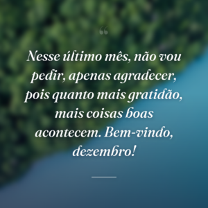 Nesse último mês, não vou pedir, apenas agradecer, pois quanto mais gratidão, mais coisas boas acontecem. Bem-vindo, dezembro!