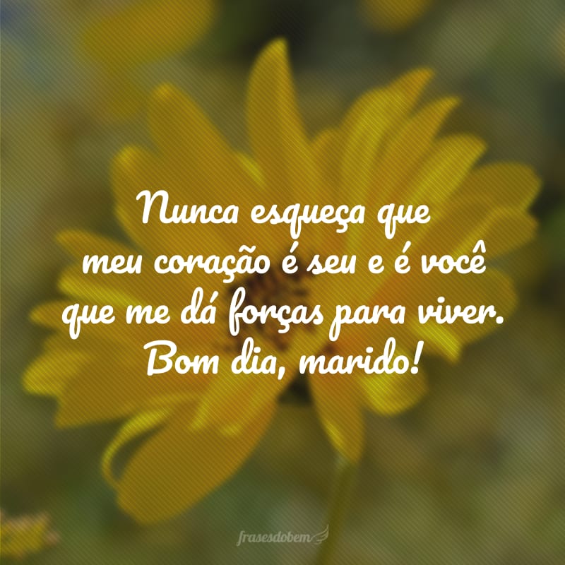 Nunca esqueça que meu coração é seu e é você que me dá forças para viver. Bom dia, marido!