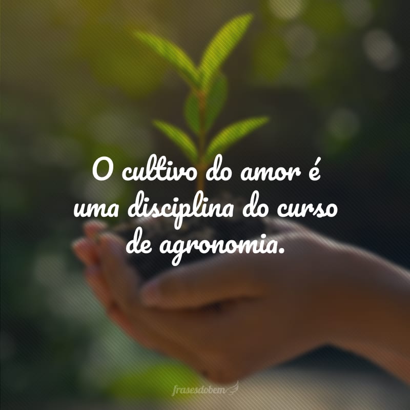 O cultivo do amor é uma disciplina do curso de agronomia.