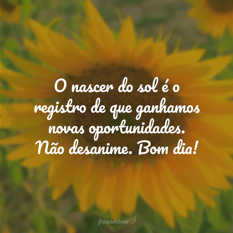 O nascer do sol é o registro de que ganhamos novas oportunidades. Não desanime. Bom dia!