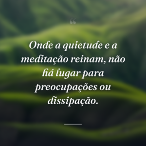 Onde a quietude e a meditação reinam, não há lugar para preocupações ou dissipação.