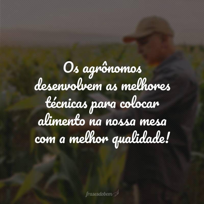 Os agrônomos desenvolvem as melhores técnicas para colocar alimento na nossa mesa com a melhor qualidade!