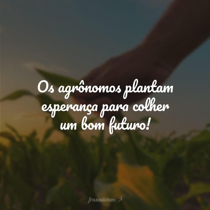 Os agrônomos plantam esperança para colher um bom futuro!