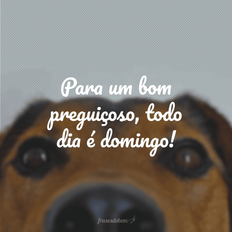 Para um bom preguiçoso, todo dia é domingo!