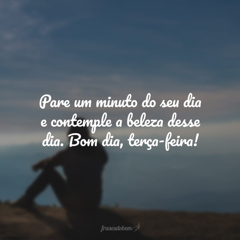 Pare um minuto do seu dia e contemple a beleza desse dia. Bom dia, terça-feira!