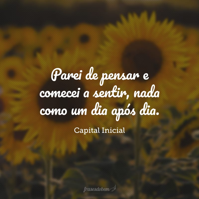 Parei de pensar e comecei a sentir, nada como um dia após dia.