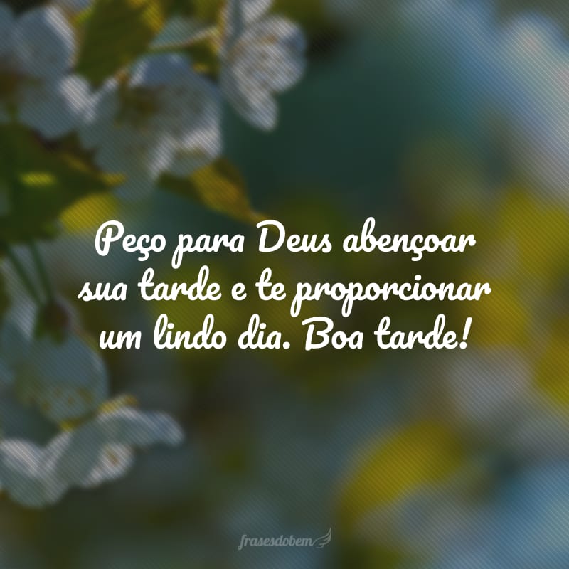 Peço para Deus abençoar sua tarde e te proporcionar um lindo dia. Boa tarde!