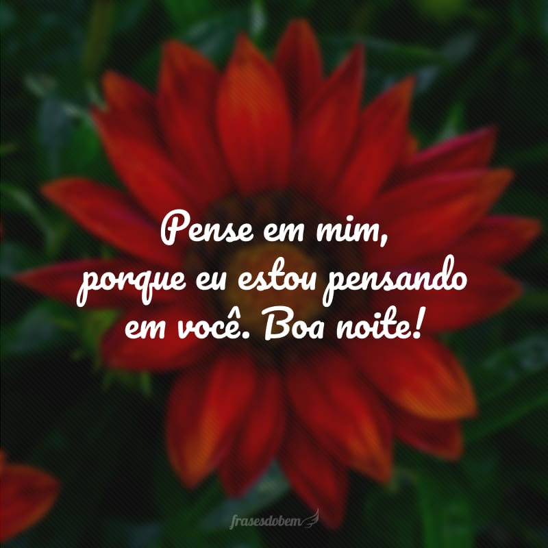 Pense em mim, porque eu estou pensando em você. Boa noite!