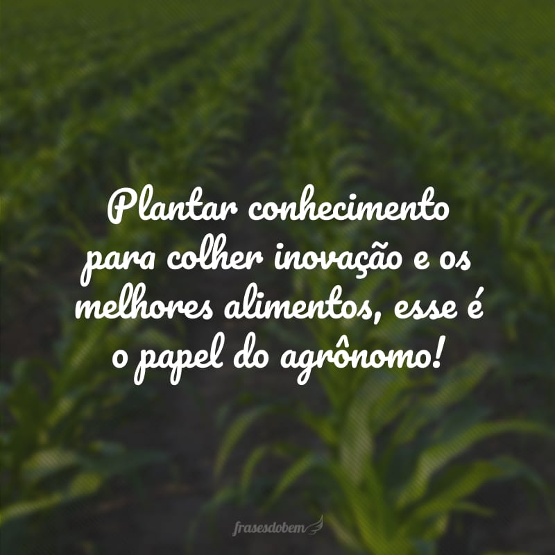 Plantar conhecimento para colher inovação e os melhores alimentos, esse é o papel do agrônomo!