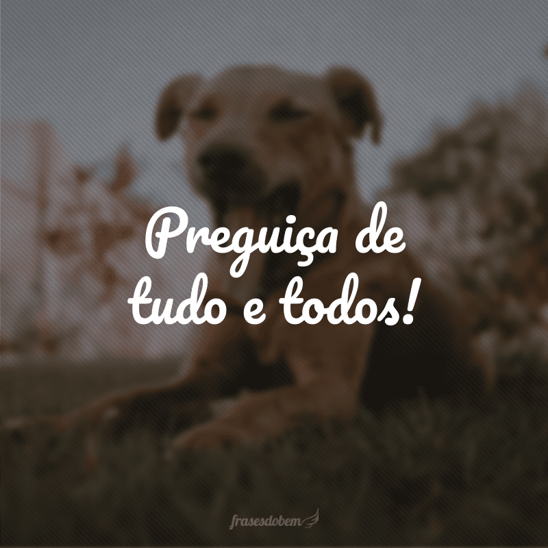 Preguiça de tudo e todos!