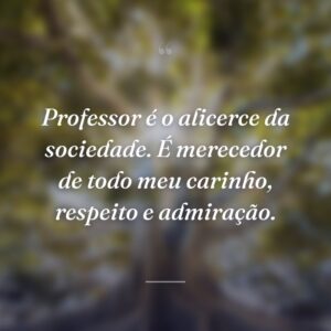 Professor é o alicerce da sociedade. É merecedor de todo meu carinho, respeito e admiração.