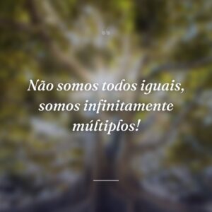 Não somos todos iguais, somos infinitamente múltiplos!