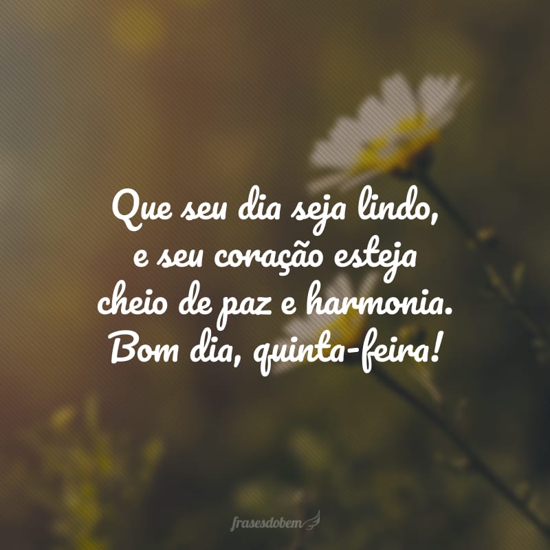 Que seu dia seja lindo, e seu coração esteja cheio de paz e harmonia. Bom dia, quinta-feira!