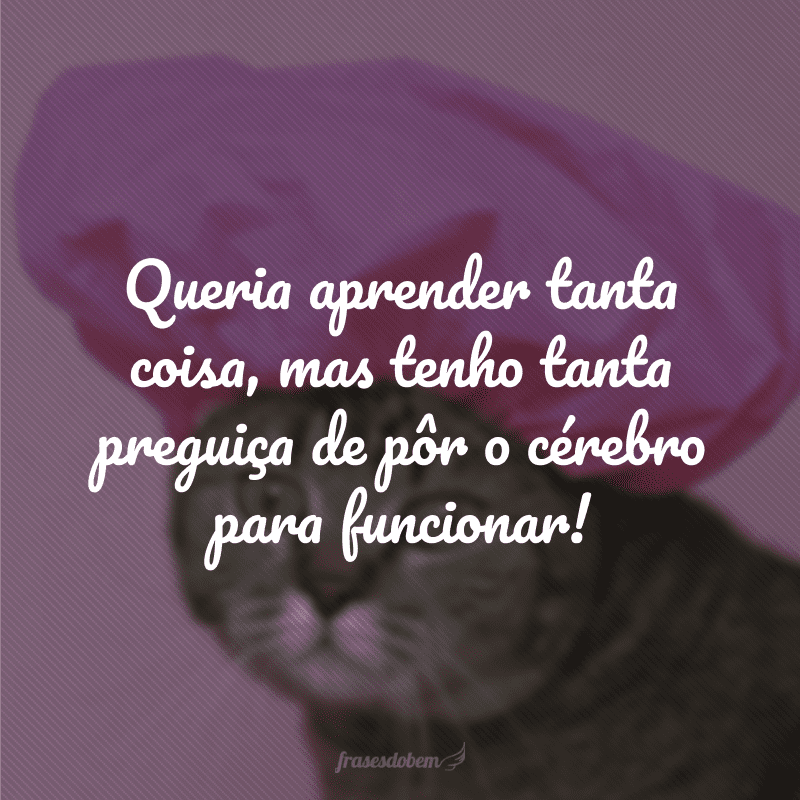 Queria aprender tanta coisa, mas tenho tanta preguiça de pôr o cérebro para funcionar!