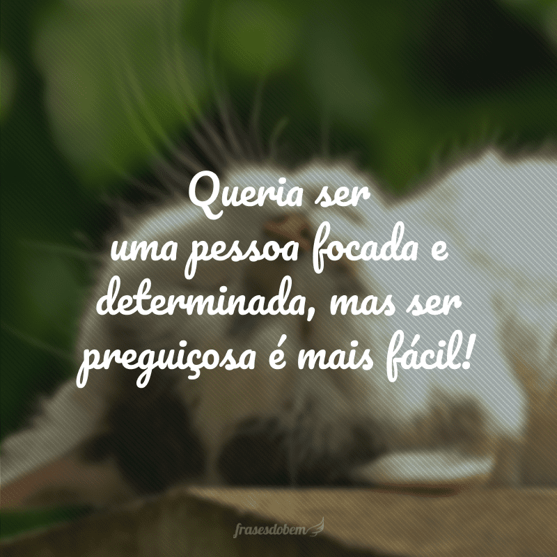 Queria ser uma pessoa focada e determinada, mas ser preguiçosa é mais fácil!