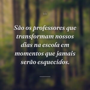 São os professores que transformam nossos dias na escola em momentos que jamais serão esquecidos.