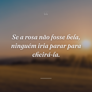 Se a rosa não fosse bela, ninguém iria parar para cheirá-la.