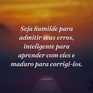 Seja humilde para admitir seus erros, inteligente para aprender com eles e maduro para corrigi-los.
