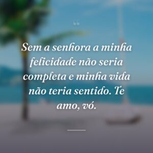 Sem a senhora a minha felicidade não seria completa e minha vida não teria sentido. Te amo, vó.