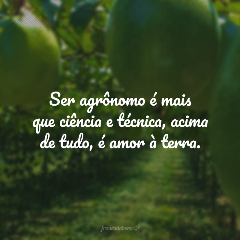 Ser agrônomo é mais que ciência e técnica, acima de tudo, é amor à terra.