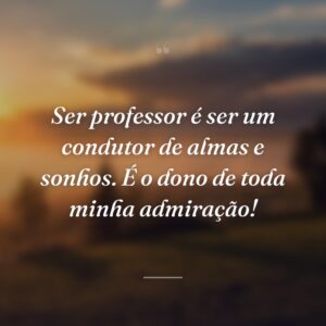 Ser professor é ser um condutor de almas e sonhos. É o dono de toda minha admiração!